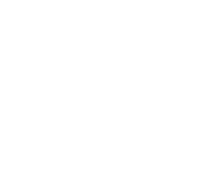 Felix & Paul Studios logo